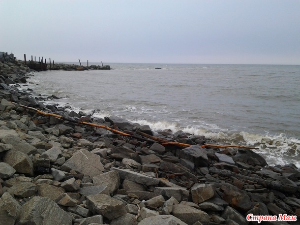 Охотское море (залив Терпения).