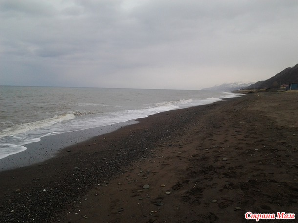 Охотское море (залив Терпения).