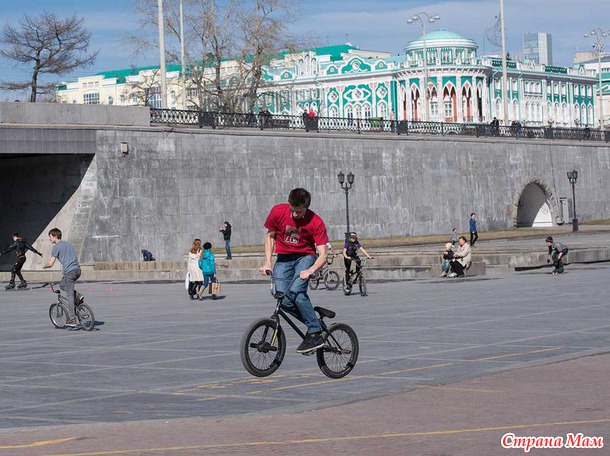 Занесло меня в... зоопарк