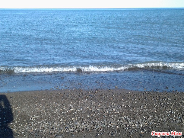 Охотское море (залив Терпения).