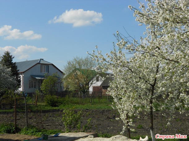 Садок вишневий коло хати...