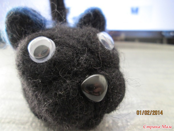 Кот