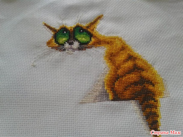 Кот