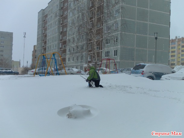 Сюрприз погоды... или исправление ошибок природы