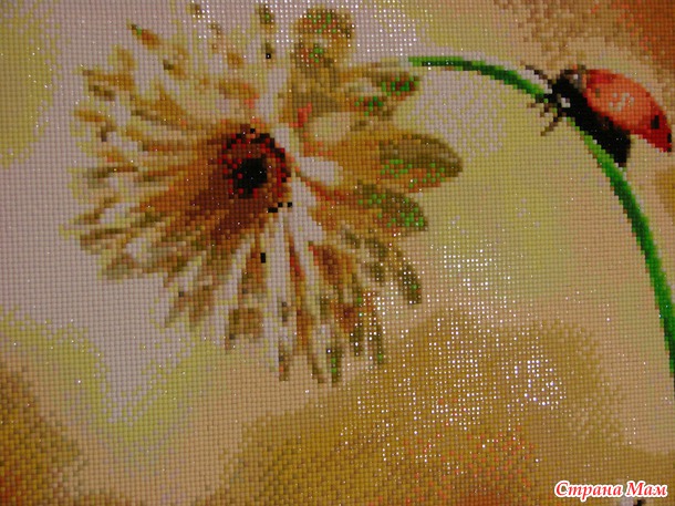 Божья коровка