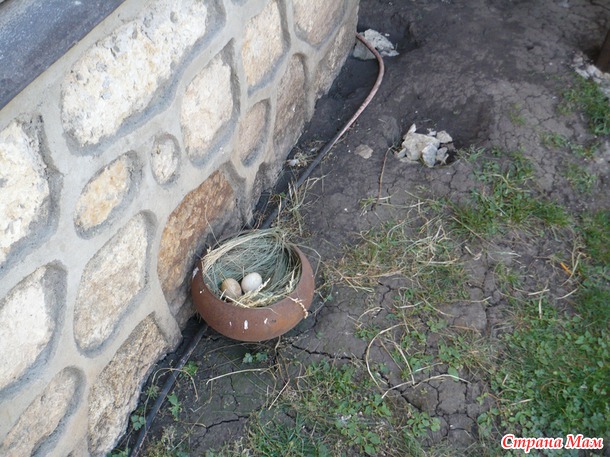 Поездка на Кудыкину гору