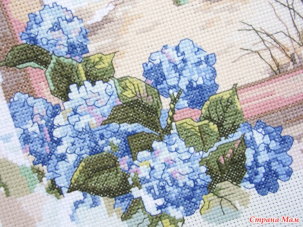 Вид из окна / A View From the Window, Janlynn