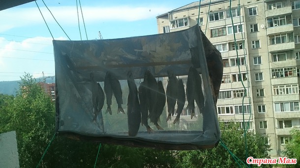 Заказ на handmade от мужа ^_^