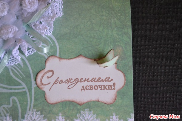 Новое увлечение.