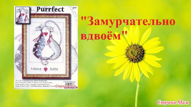 СП "Магия кошек" Подготовка и начало. Август 1.