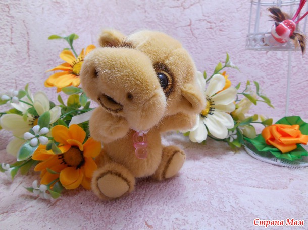 Лолли
