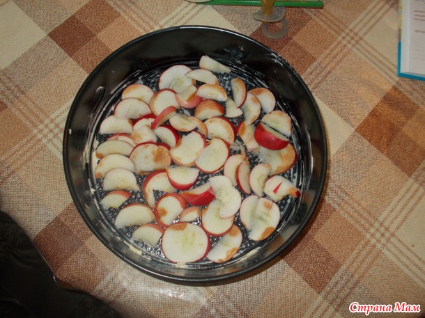 Шарлотка