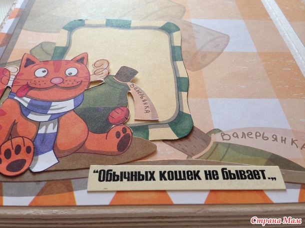 Альбом "Тайны рыжего кота"