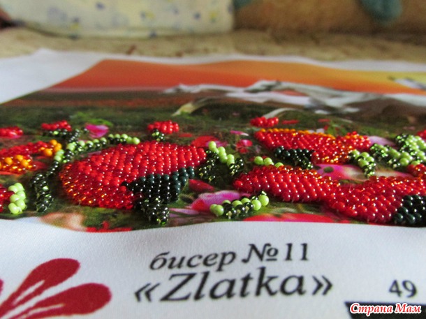 *Мои лошадки