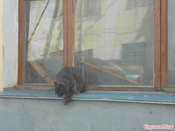 Поездка в Суздаль