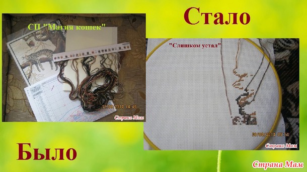 СП "Магия кошек" Август 3. Сентябрь 1.