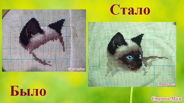 СП "Магия кошек" Август 3. Сентябрь 1.