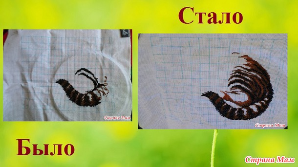 СП "Магия кошек" Август 3. Сентябрь 1.
