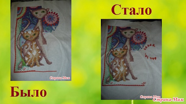 СП "Магия кошек" Август 3. Сентябрь 1.