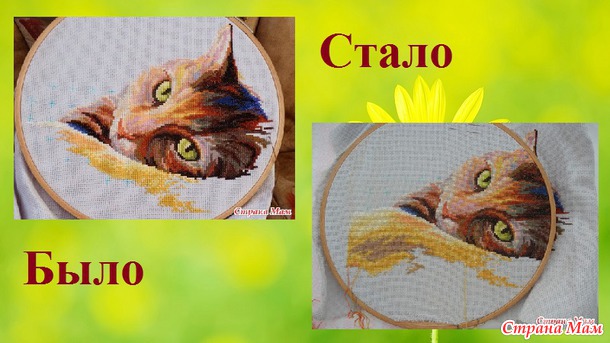 СП "Магия кошек" Август 3. Сентябрь 1.