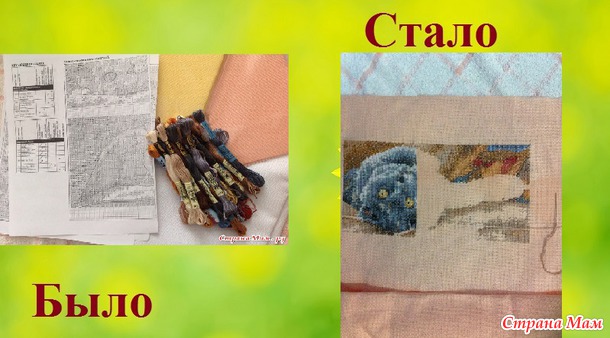 СП "Магия кошек" Август 3. Сентябрь 1.