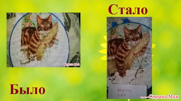 СП "Магия кошек" Август 3. Сентябрь 1.