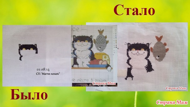 СП "Магия кошек" Август 3. Сентябрь 1.