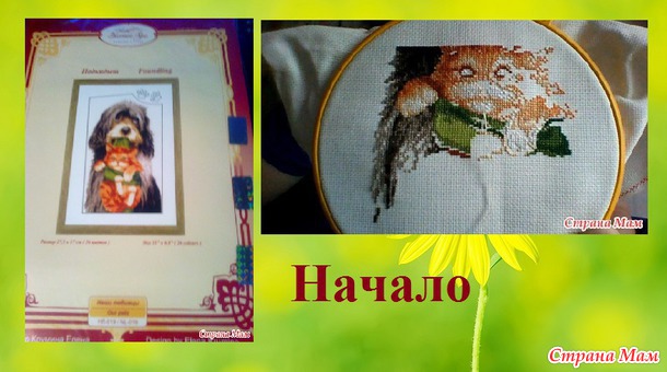 СП "Магия кошек" Август 3. Сентябрь 1.