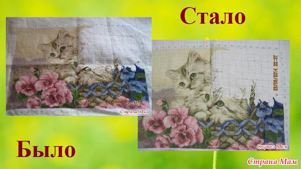 СП "Магия кошек" Август 3. Сентябрь 1.