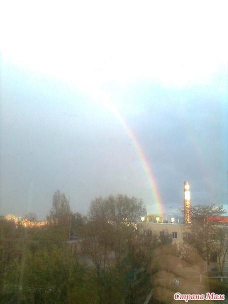 "Бородища"))