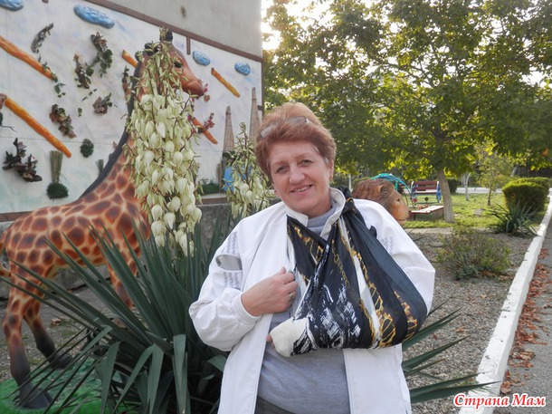 "Бородища"))