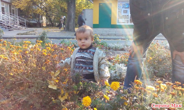 Вот и я давно не писала как мы поживаем)