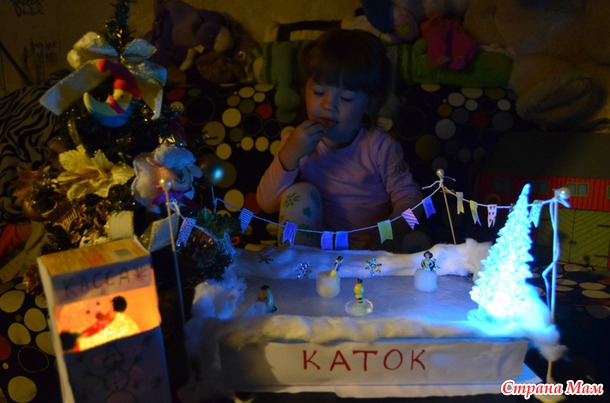 Новогодний домашний каток:)
