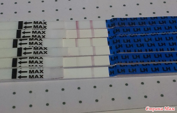 ���� ��� �����...