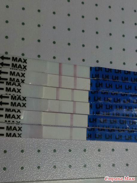 ���� ��� �����...