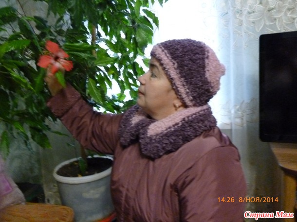 Сначала воротник, к нему шапка, теперь ещё и манишка