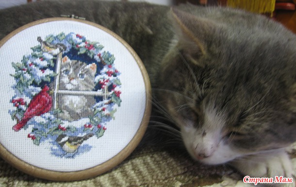 *Котики от Дима, домик Пауэла