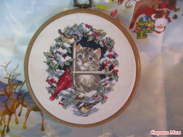 *Котики от Дима, домик Пауэла