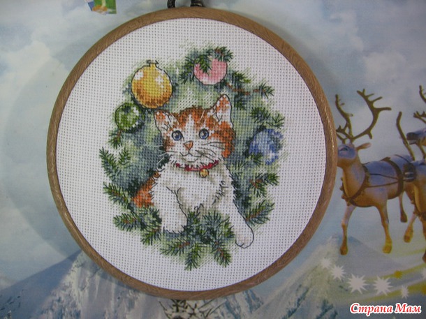 *Котики от Дима, домик Пауэла