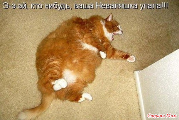 ::))