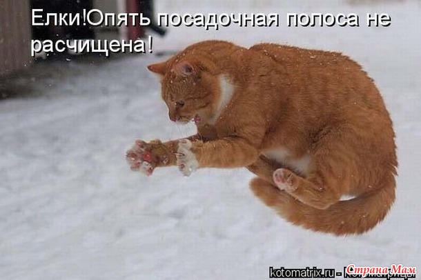::))
