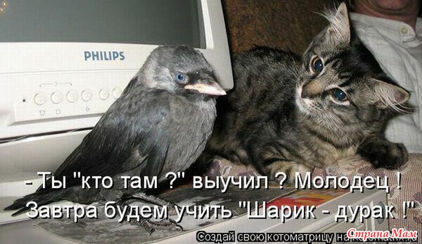 ::))