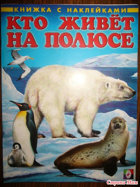Тематический день Арктика.