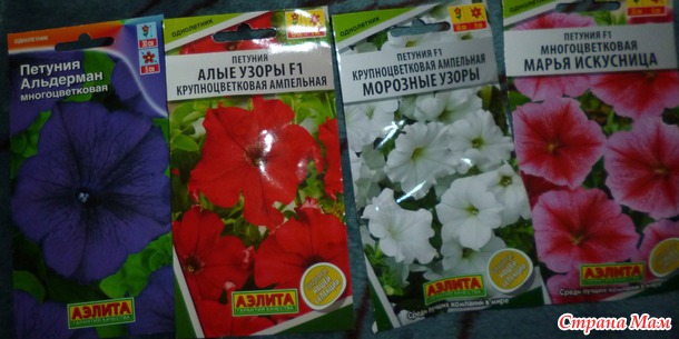 Семянок прикупила...