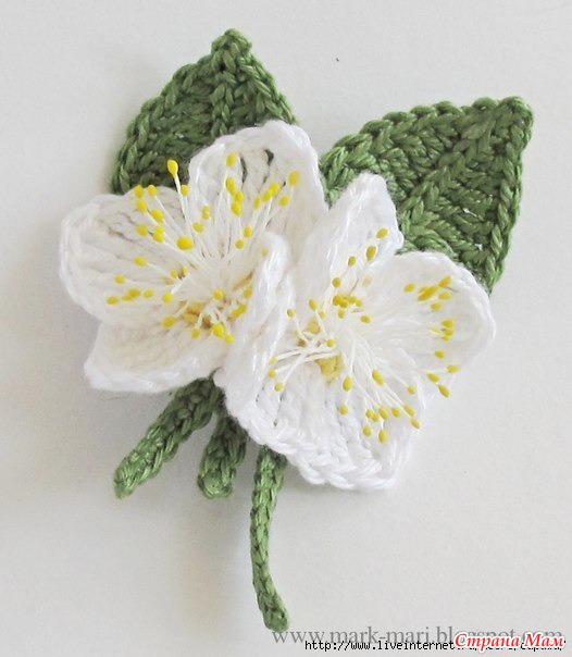 ����� "������ ������"