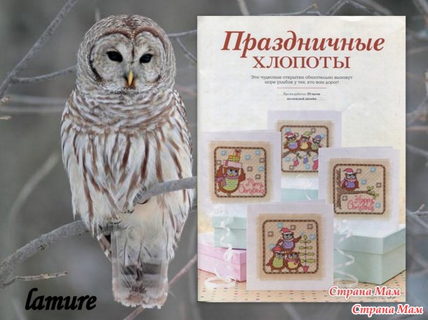 СП "Совушки-подружки". Год лошади?!?!? Неееет, год совы!)))