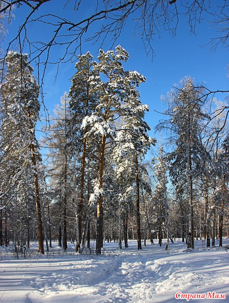 Прогулка на Азов-гору