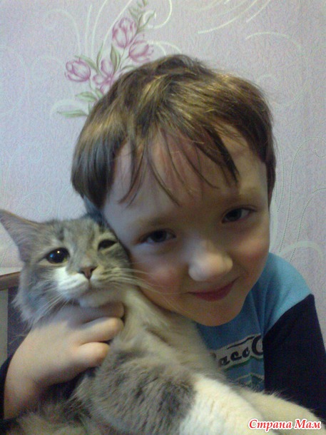  ))
