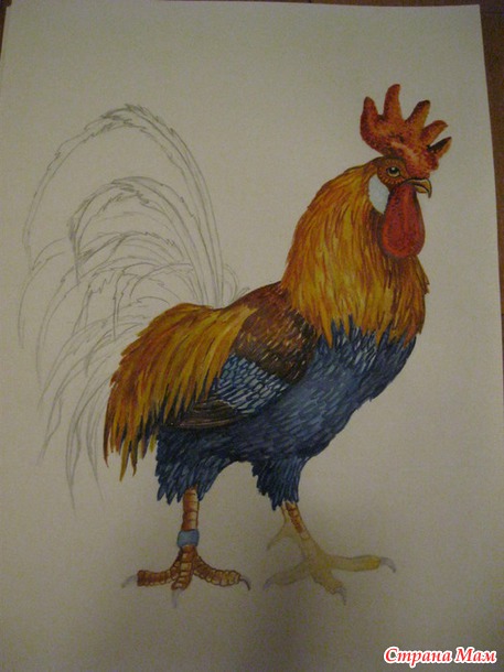      /. 
