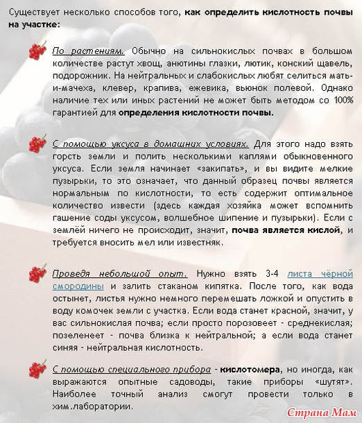 Как определить кислотность почвы